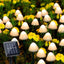 Decoratiune solara 30 ciupercute LED