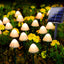 Decoratiune solara 30 ciupercute LED
